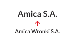 2016 - Cambiamento di denominazione da Amica Wronki S.A. a Amica S.A.